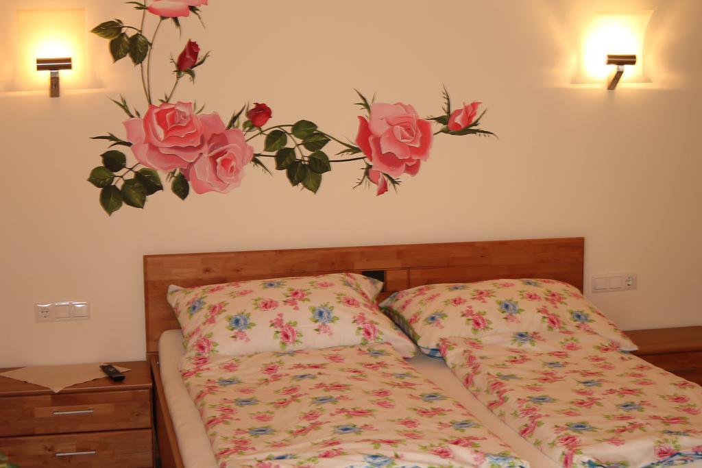 Gastehaus Zur Schonen Aussicht Bed & Breakfast Spitz an der Donau Bilik gambar