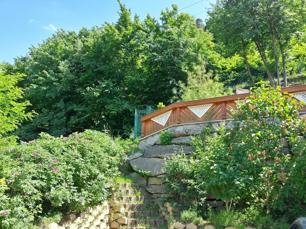 Gastehaus Zur Schonen Aussicht Bed & Breakfast Spitz an der Donau Luaran gambar