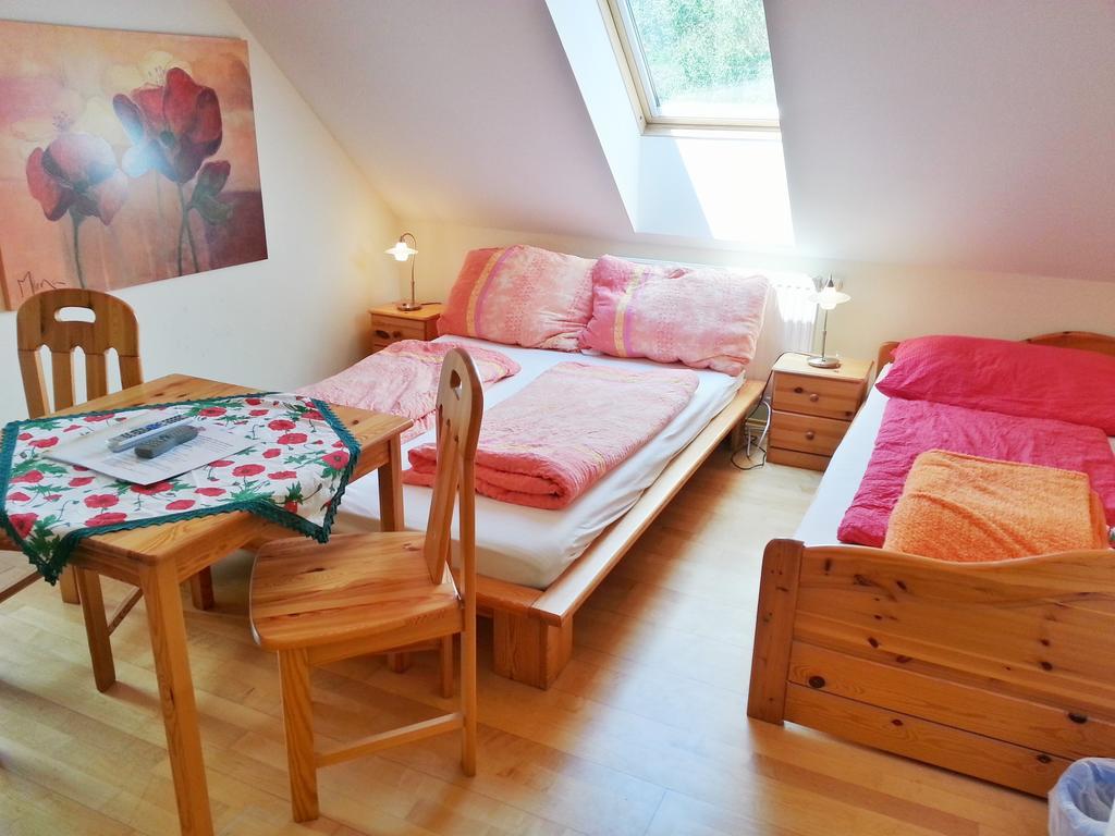 Gastehaus Zur Schonen Aussicht Bed & Breakfast Spitz an der Donau Bilik gambar